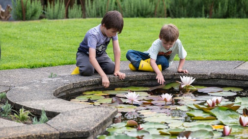 Children investigating one of the ponds in the Walled Garden during the summer at Penrhyn Castle